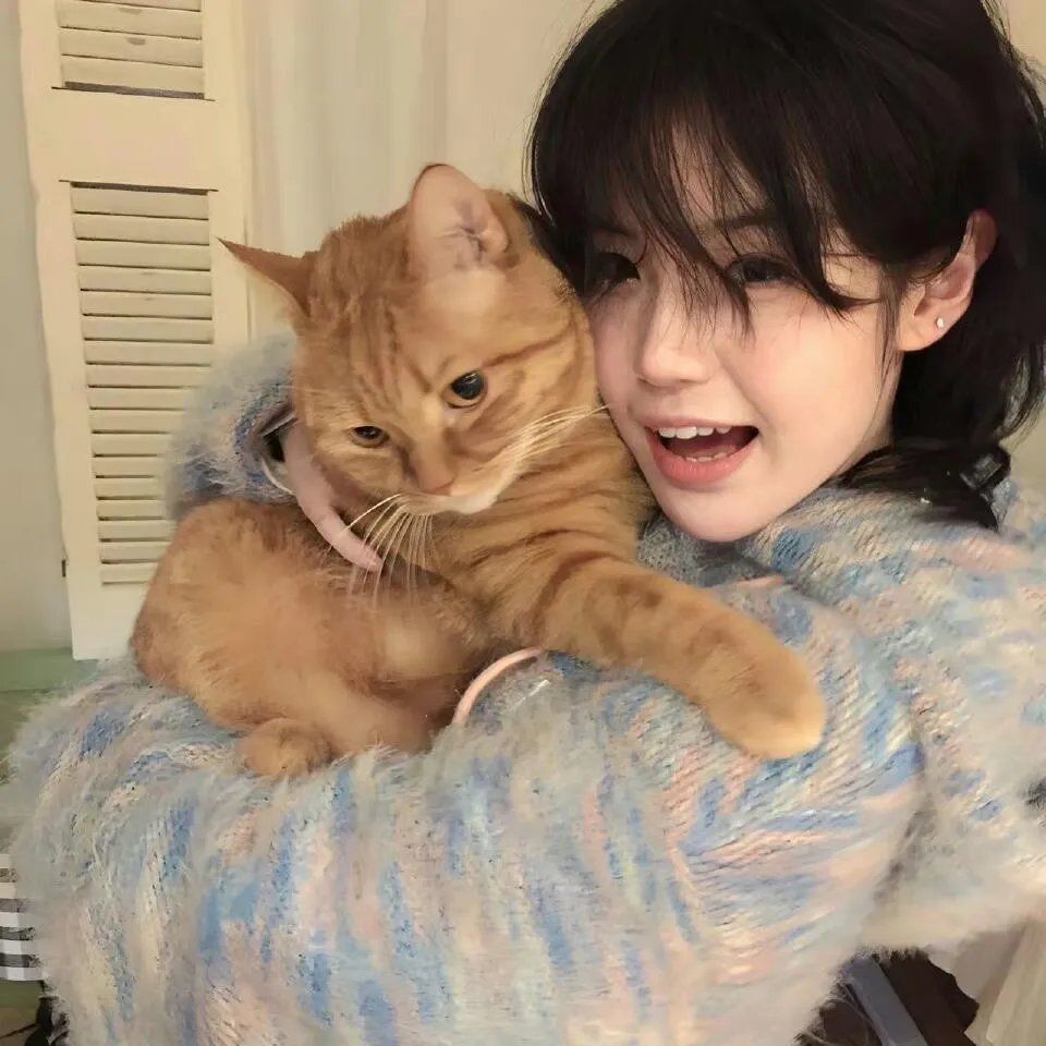 费雪小姐和泪之穴