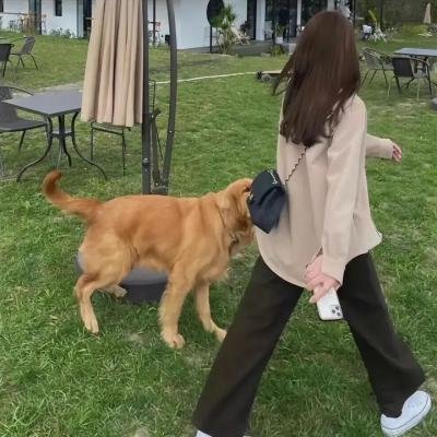 你好，陌生人
